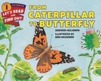 Produktbild: Heiligman, D: From Caterpillar to Butterfly