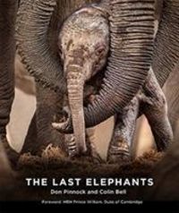 Produktbild: Bell, C: The Last Elephants
