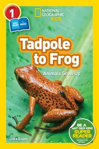 Produktbild: Tadpole to Frog (National Geographic Kids Readers, Level 1/Co-Reader)