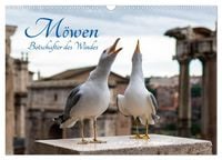 Produktbild: M&ouml;wen- Botschafter des Windes (Wandkalender 2027 DIN A3 quer), CALVENDO Monatskalender