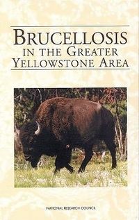 Produktbild: Brucellosis in the Greater Yellowstone Area