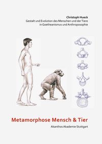 Produktbild: Metamorphose Mensch und Tier