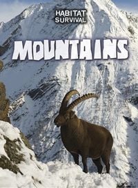 Produktbild: Mountains