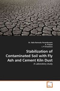 Produktbild: Paramkusam, D: Stabilization of Contaminated Soil with Fly A
