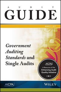 Produktbild: Audit Guide