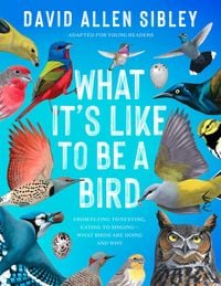 Produktbild: What It's Like to Be a Bird (Adapted for Young Readers)