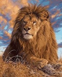 Produktbild: Diamond Painting L&ouml;we 40x30 cm