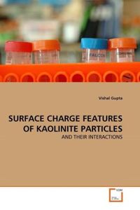 Produktbild: Gupta, V: SURFACE CHARGE FEATURES OF KAOLINITE PARTICLES
