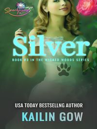 Produktbild: Silver