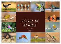 Produktbild: V&ouml;gel in Afrika - Magie der Farben (Wandkalender 2027 DIN A2 quer), CALVENDO Monatskalender