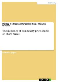 Produktbild: The influence of commodity price shocks on share prices