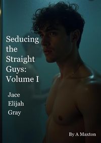 Produktbild: Seducing the Straight Guys Volume 1