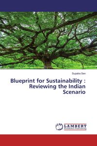Produktbild: Blueprint for Sustainability : Reviewing the Indian Scenario