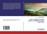 Produktbild: Heat and Mass Transfer Effects on MHD Boundary Layer Flow
