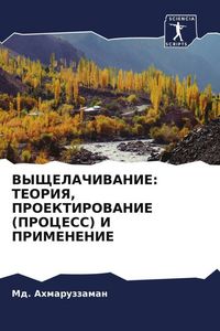 Produktbild: Vyshhelachivanie: Teoriya, Proektirovanie (process) I Primenenie