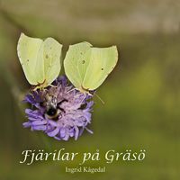 Bild vom Artikel Fjärilar på Gräsö vom Autor Ingrid Kågedal