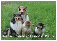 Produktbild: Mein Hundekalender 2026 (Tischkalender 2026 DIN A5 quer), CALVENDO Monatskalender