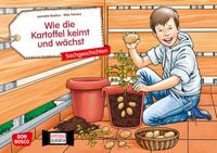 Produktbild: Wie die Kartoffel keimt und w&auml;chst. Kamishibai Bildkartenset.