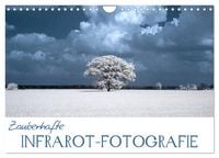 Produktbild: Zauberhafte Infrarot-Fotografie (Wandkalender 2026 DIN A4 quer), CALVENDO Monatskalender