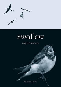 Produktbild: Swallow