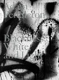 Produktbild: Adam Pendleton. Blackness, White and Light (English)