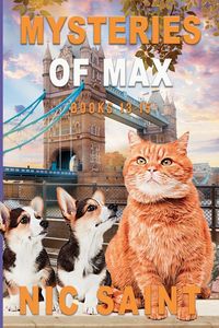 Produktbild: Mysteries of Max