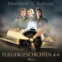 Produktbild: Fliegergeschichten 4-6