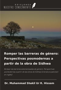 Produktbild: Romper las barreras de g&eacute;nero: Perspectivas posmodernas a partir de la obra de Sidhwa