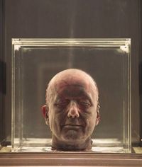 Bild vom Artikel Marc Quinn: Chronos & Cosmos vom Autor Marc Quinn