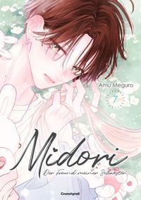Produktbild: Midori &ndash; Der Freund meiner Schwester &ndash; Band 7