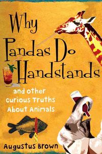 Produktbild: Why Pandas Do Handstands: And Other Curious Truths about Animals