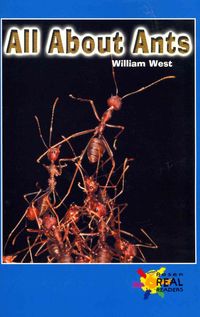 Produktbild: All about Ants