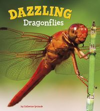 Produktbild: Dazzling Dragonflies