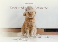 Produktbild: Kater sind solche Schweine.