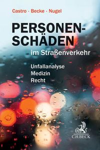Produktbild: Personensch&auml;den im Stra&szlig;enverkehr