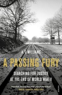 Produktbild: A Passing Fury