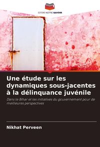 Produktbild: Une &eacute;tude sur les dynamiques sous-jacentes &agrave; la d&eacute;linquance juv&eacute;nile