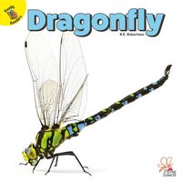 Produktbild: Dragonfly
