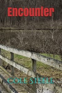 Produktbild: Encounter (Willow Darby, #4)