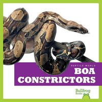 Produktbild: Boa Constrictors