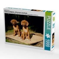 Produktbild: CALVENDO Puzzle Rhodesian Ridgeback H&uuml;ndinnen | 1000 Teile Lege-Gr&ouml;&szlig;e 64x48cm Foto-Puzzle f&uuml;r gl&uuml;ckliche Stunden
