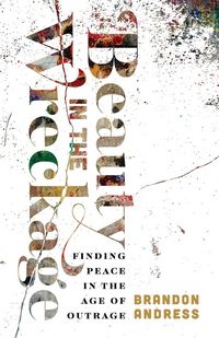 Produktbild: Beauty in the Wreckage