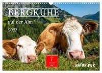 Produktbild: Bergk&uuml;he auf der Alm - Natur pur (Wandkalender 2027 DIN A3 quer), CALVENDO Monatskalender