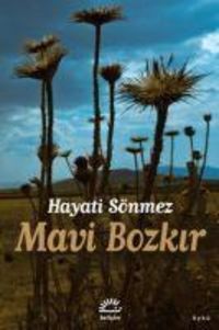 Produktbild: Mavi Bozkir