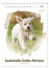 Produktbild: Zauberhafte Golden Retriever (Tischkalender 2026 DIN A5 hoch), CALVENDO Monatskalender
