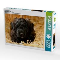 Produktbild: CALVENDO Puzzle Ein Motiv aus dem Kalender Bouvier des Flandres | 1000 Teile Lege-Gr&ouml;&szlig;e 64x48cm Foto-Puzzle f&uuml;r gl&uuml;ckliche Stunden