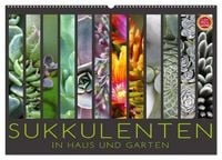 Produktbild: Sukkulenten in Haus und Garten (Wandkalender 2026 DIN A2 quer), CALVENDO Monatskalender