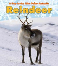 Produktbild: Reindeer