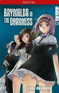 Produktbild: Brynhildr in the Darkness 17