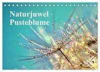 Produktbild: Naturjuwel Pusteblume (Tischkalender 2026 DIN A5 quer), CALVENDO Monatskalender